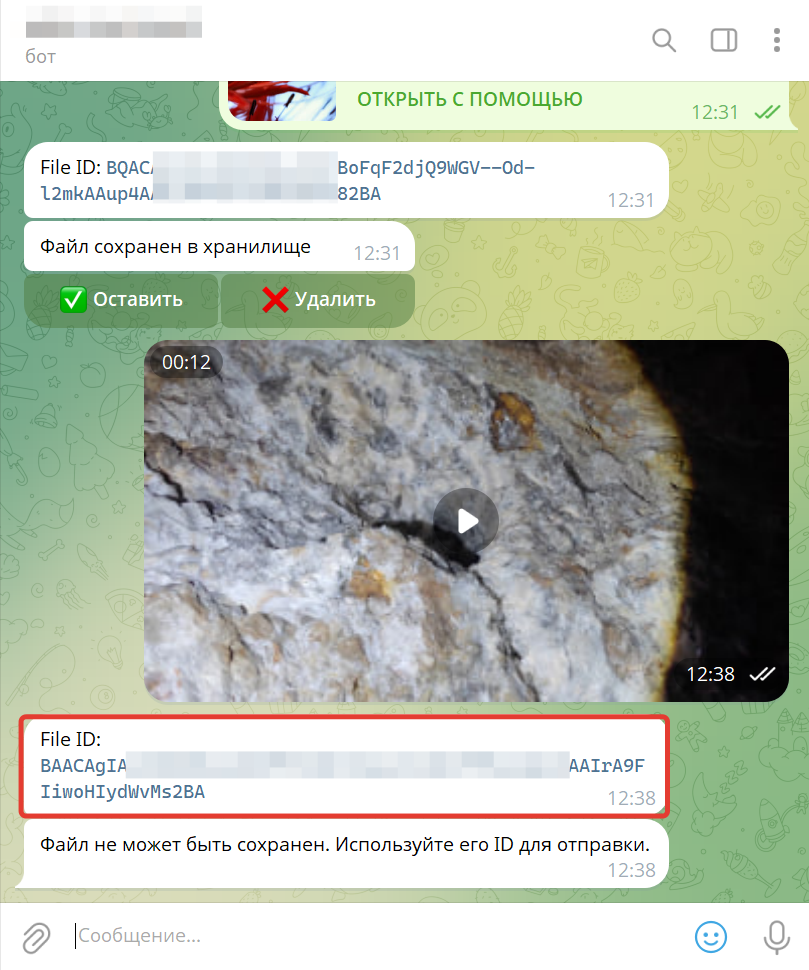 ID файла в чате с ботом ID файла в чате с ботом