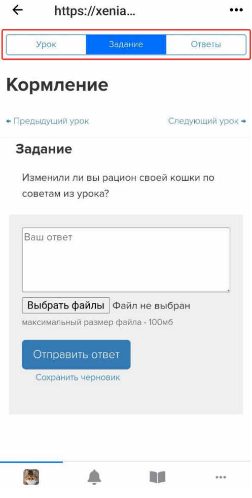 Вкладка «Задание»<br>в неоптимизированном уроке Вкладка «Задание»<br>в неоптимизированном уроке