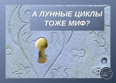 <p><br></p> <p><br></p>