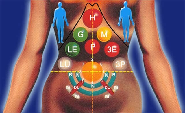<p>tao-garden.com</p>
<p>tao-garden.com</p>