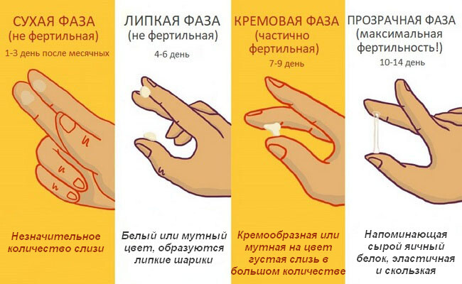 <p>Жидкость в разных фазах цикла</p>
<p>Жидкость в разных фазах цикла</p>