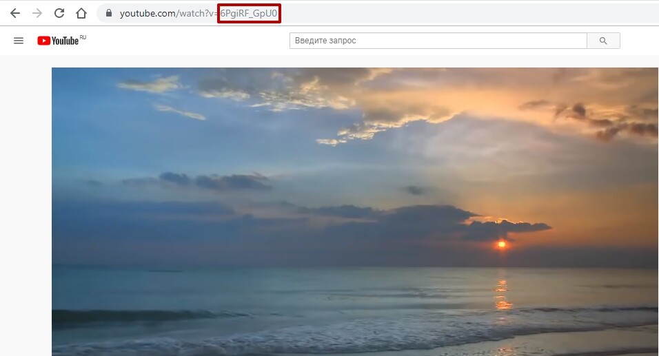 <p>
Youtube-Video-ID </p> <p>
Youtube-Video-ID </p>