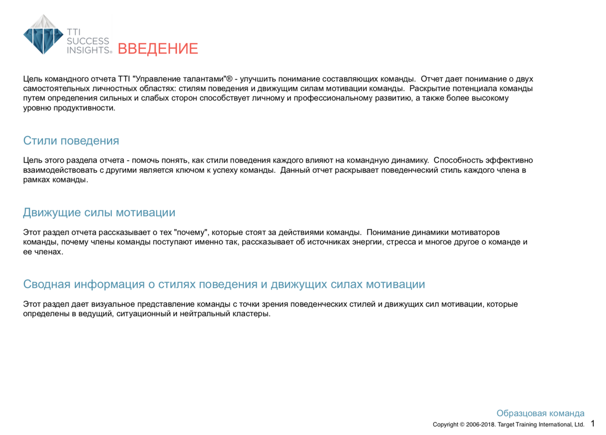 
		<p>
Командный отчёт DISC и Движущие силы мотивации состоит из 3 разделов: Стили поведения, Движущие силы мотивации и сводная информация</p>	