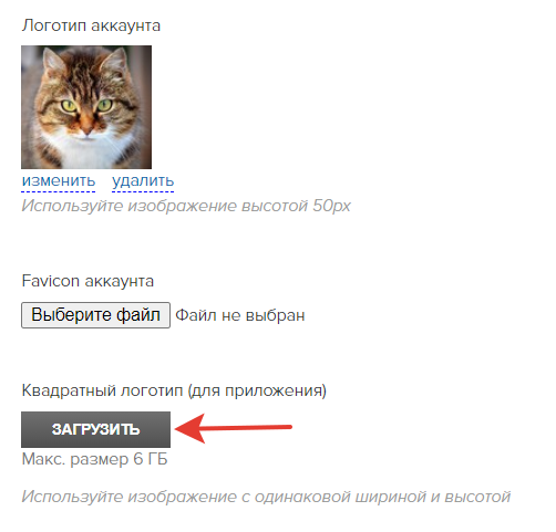 Загрузка изображения для логотипа в приложении