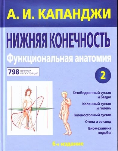 Книга - А. И. Капанджи. Нижняя конечность. Функциональная анатомия. Книга - А. И. Капанджи. Нижняя конечность. Функциональная анатомия.