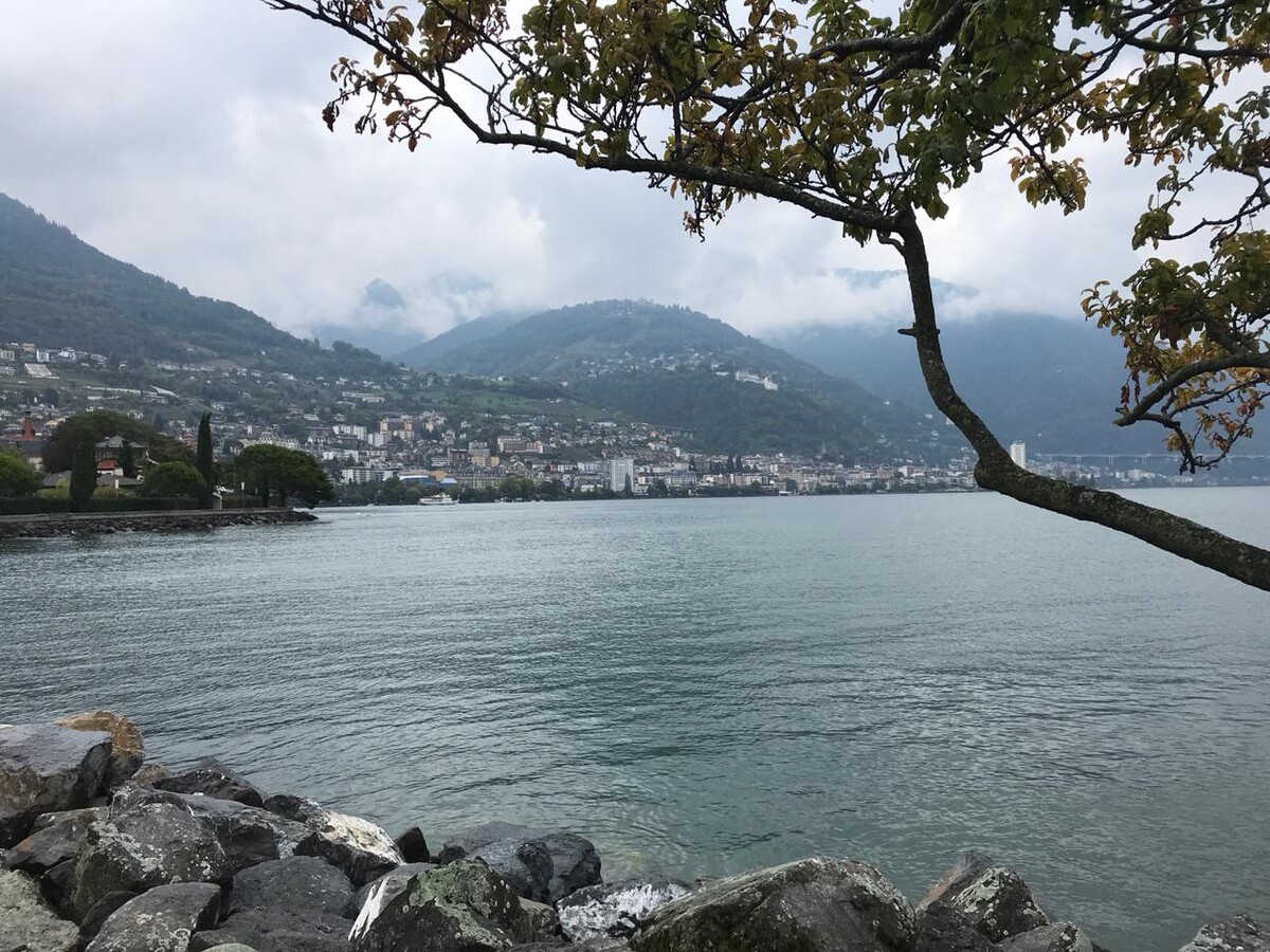 <p><i>Вид на море утром в Феодосии</i></p>
<p><i>Вид на море утром в Феодосии</i></p>