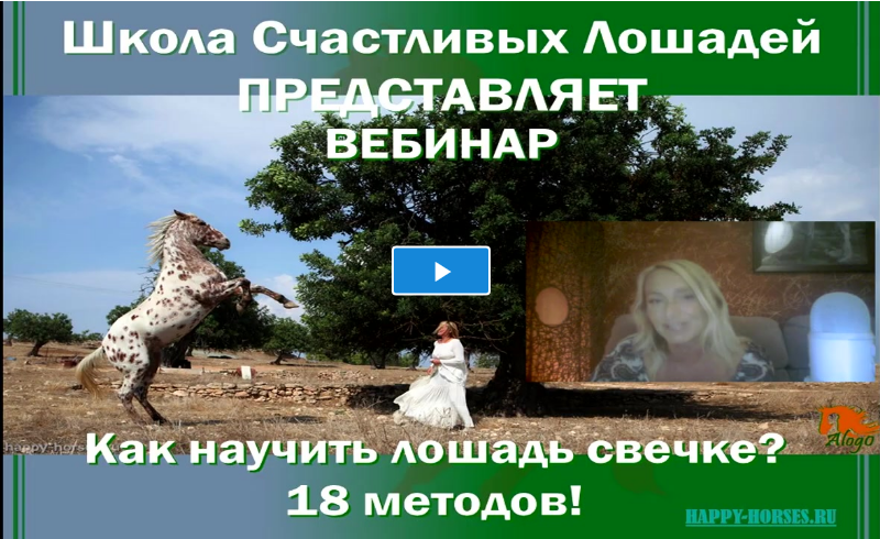 <p>
Юлия Худякова </p> <p>
Юлия Худякова </p>