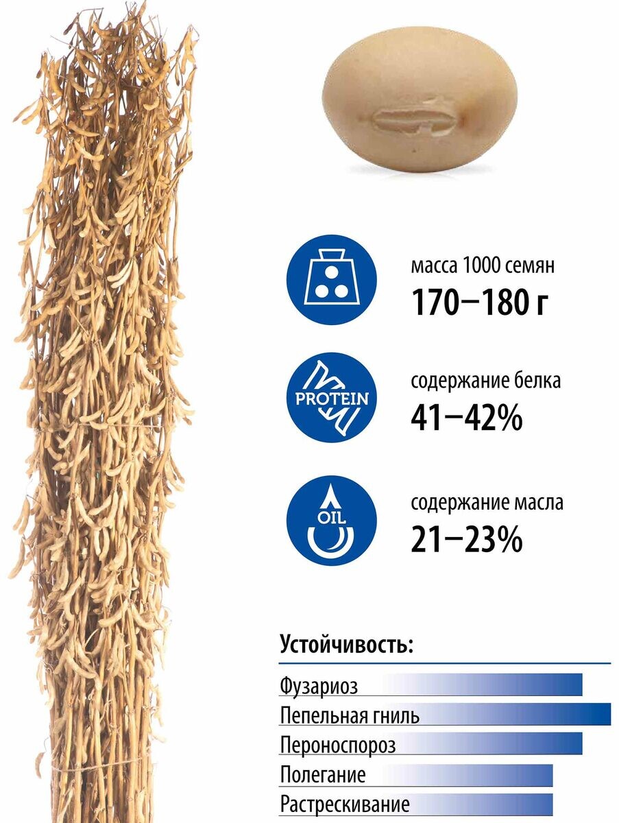 СК АВРОРА — очень скороспелый сорт сои СК АВРОРА — очень скороспелый сорт сои