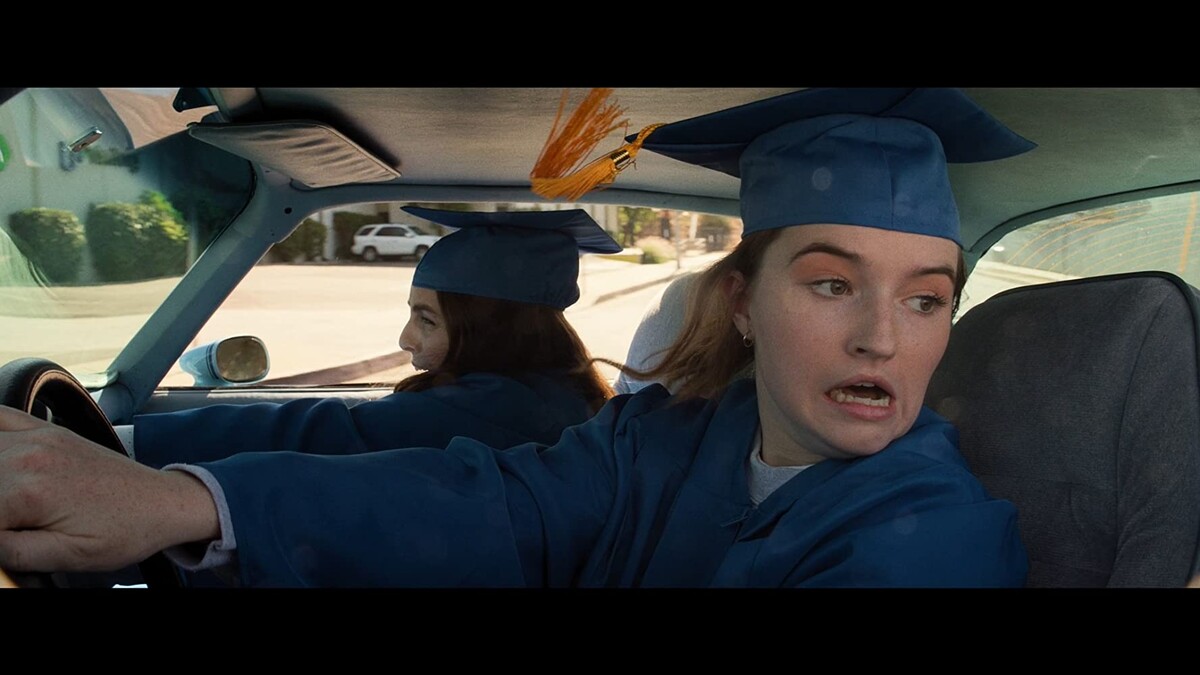 Образование (2019) Образование (2019)