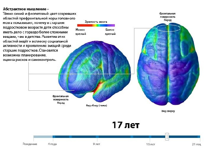 Прекрасная долина Прекрасная долина