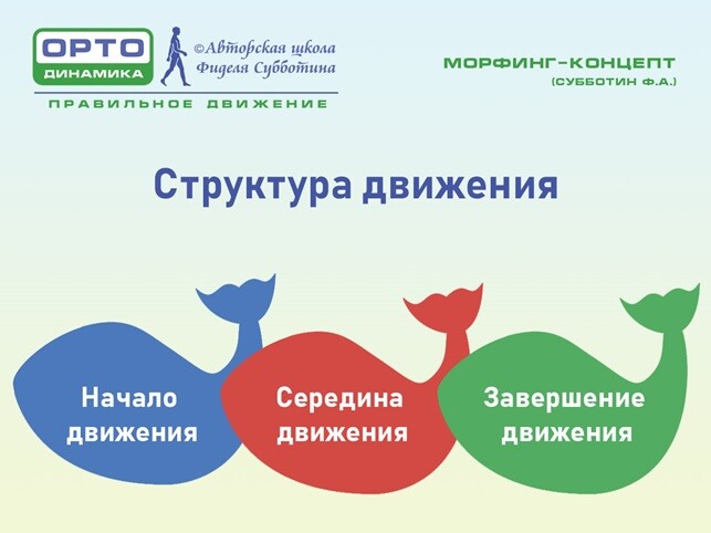 Структура движения морфинг-концепт Структура движения морфинг-концепт