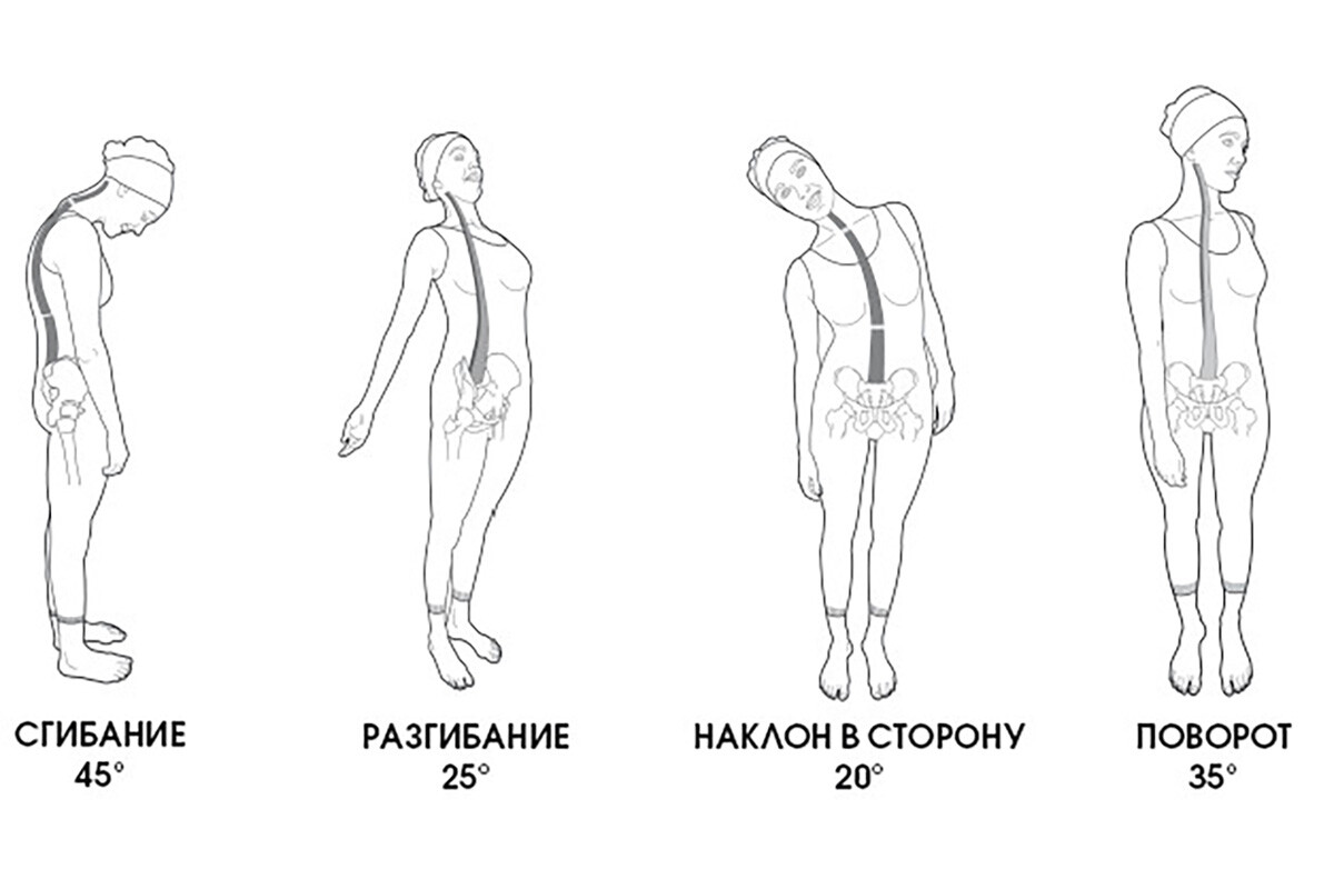 Норма движений для грудного отдела позвоночника Норма движений для грудного отдела позвоночника