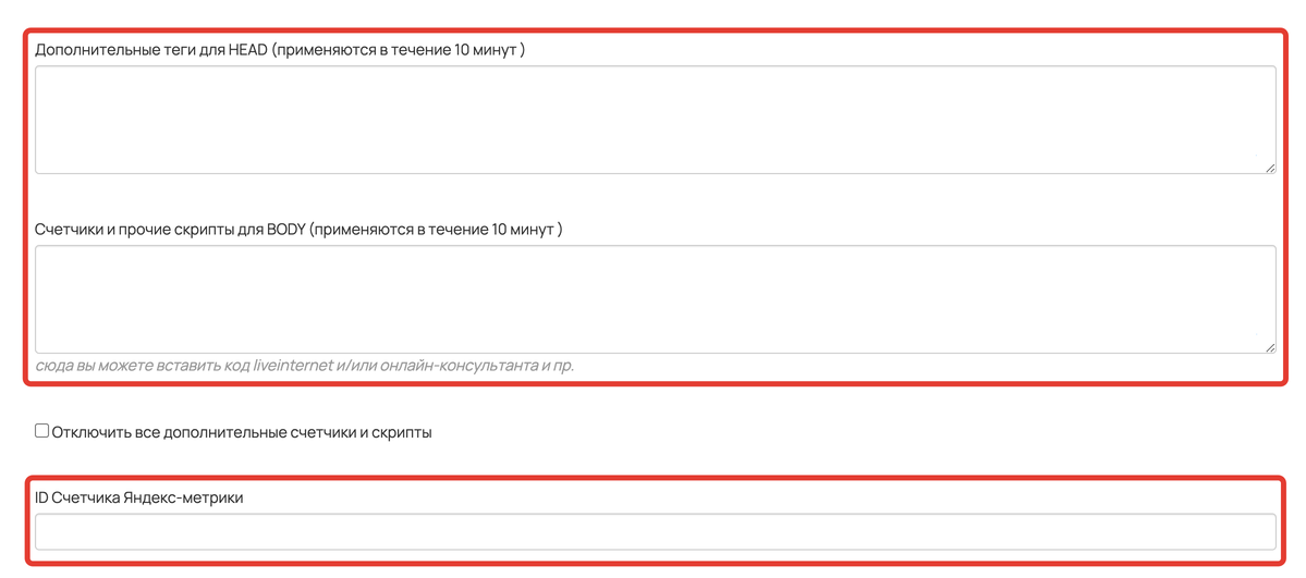 Поля для дополнительных тегов и скриптов Поля для дополнительных тегов и скриптов
