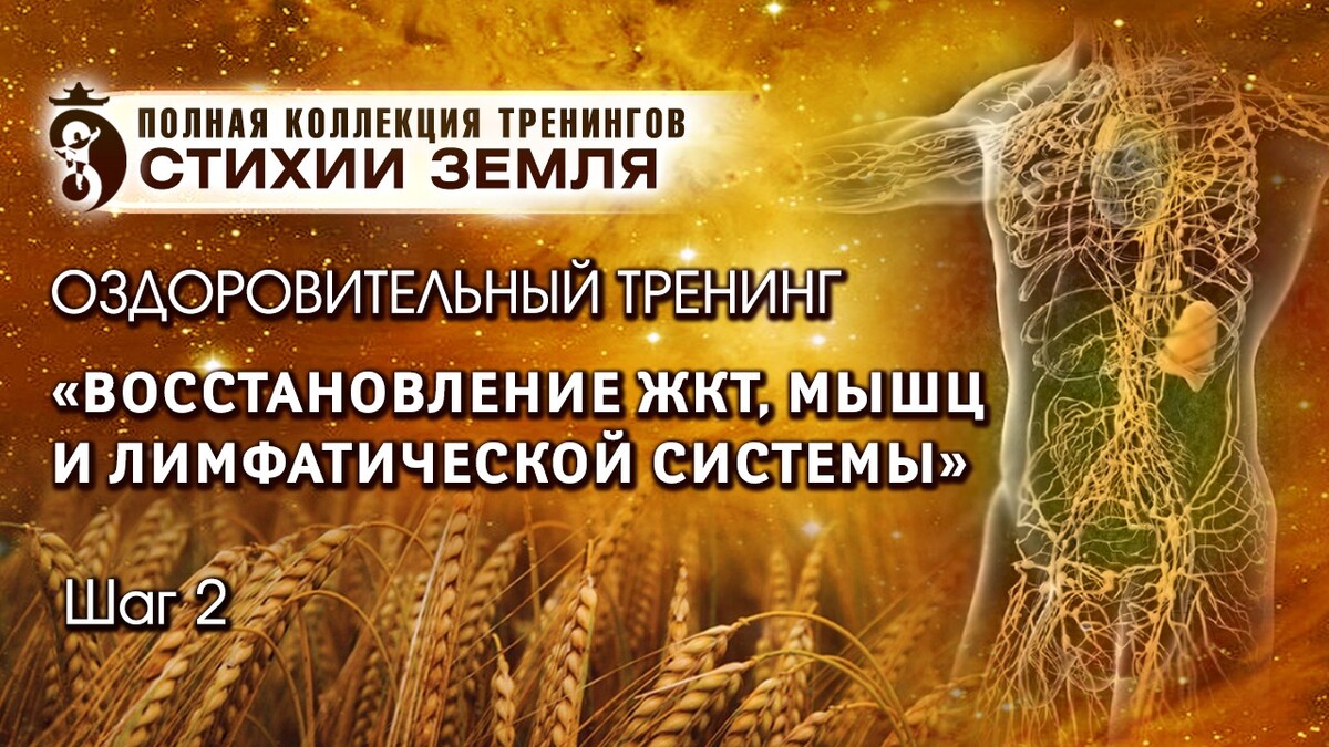 у-син у-син