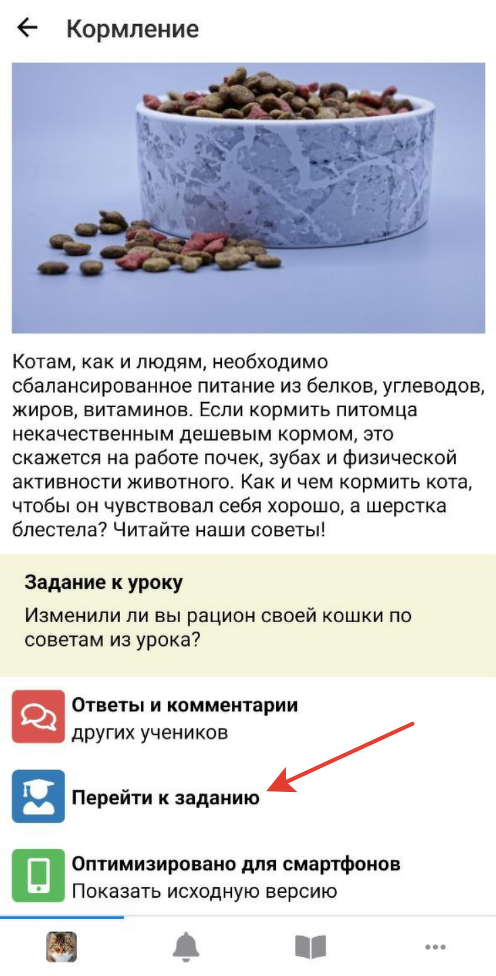 Переход к заданию урока Переход к заданию урока