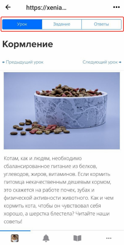Вкладка «Урок»<br>в неоптимизированном уроке Вкладка «Урок»<br>в неоптимизированном уроке