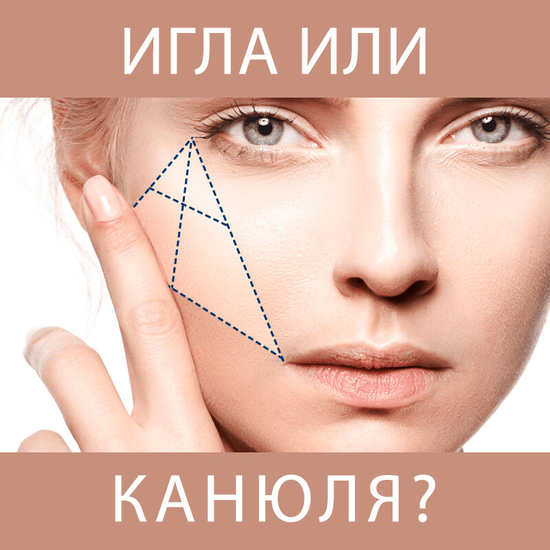 <p> </p> <p> </p>