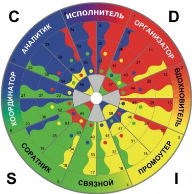 Ролевое колесо TTISI: Success Insights weel Ролевое колесо TTISI: Success Insights weel