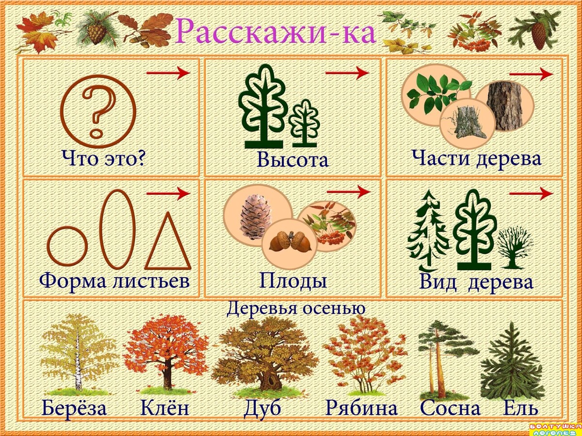 Схема рассказа об игрушке расскажи ка