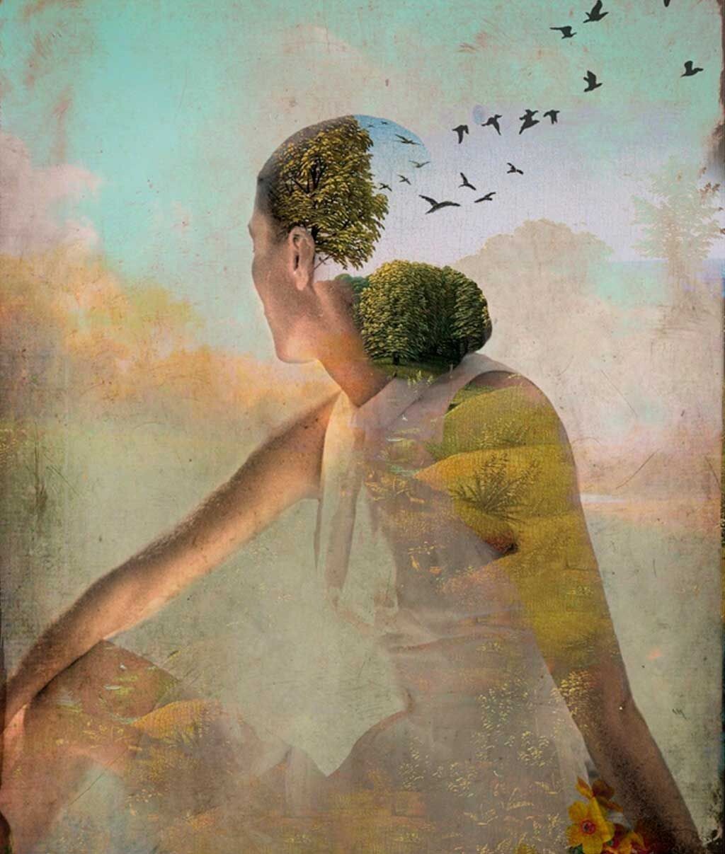 Catrin Welz-Stein картины