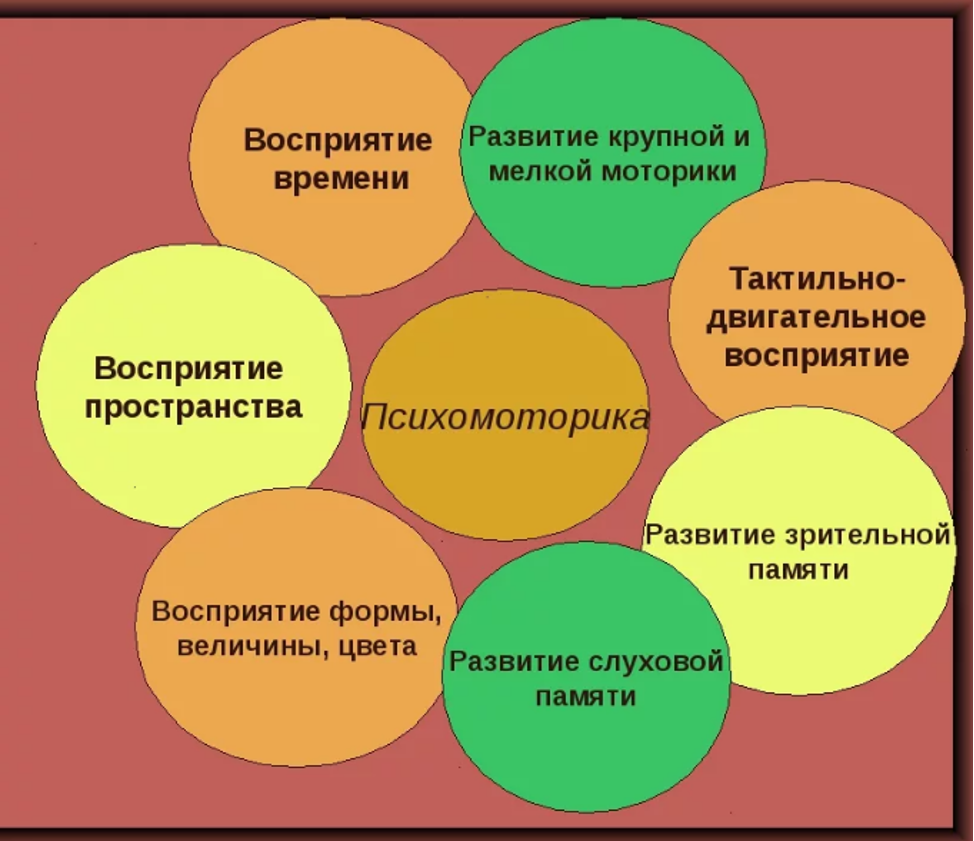 Сферы дошкольного возраста