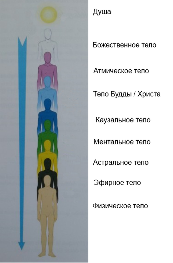 Ментальный порядок. 7 Тел человека астральное тело. Тела человека астральное ментальное. Тонкие тела человека. Эфирное астральное ментальное тело.