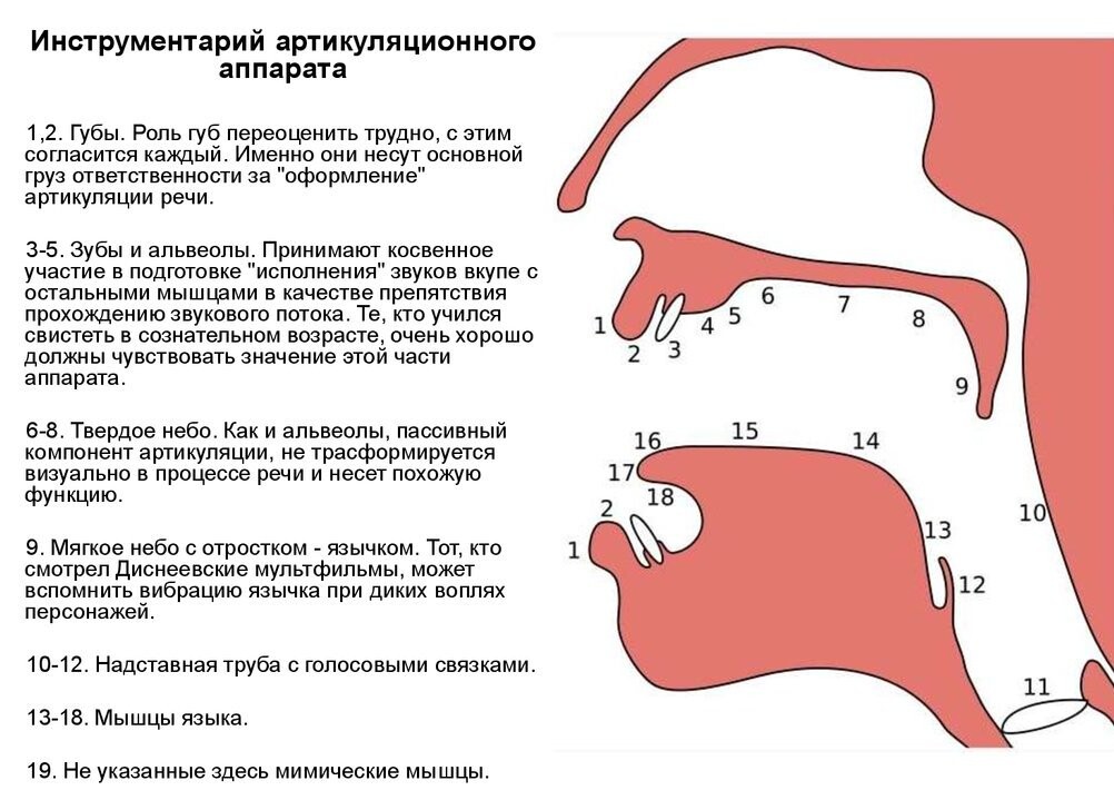 Стертая дизартрия