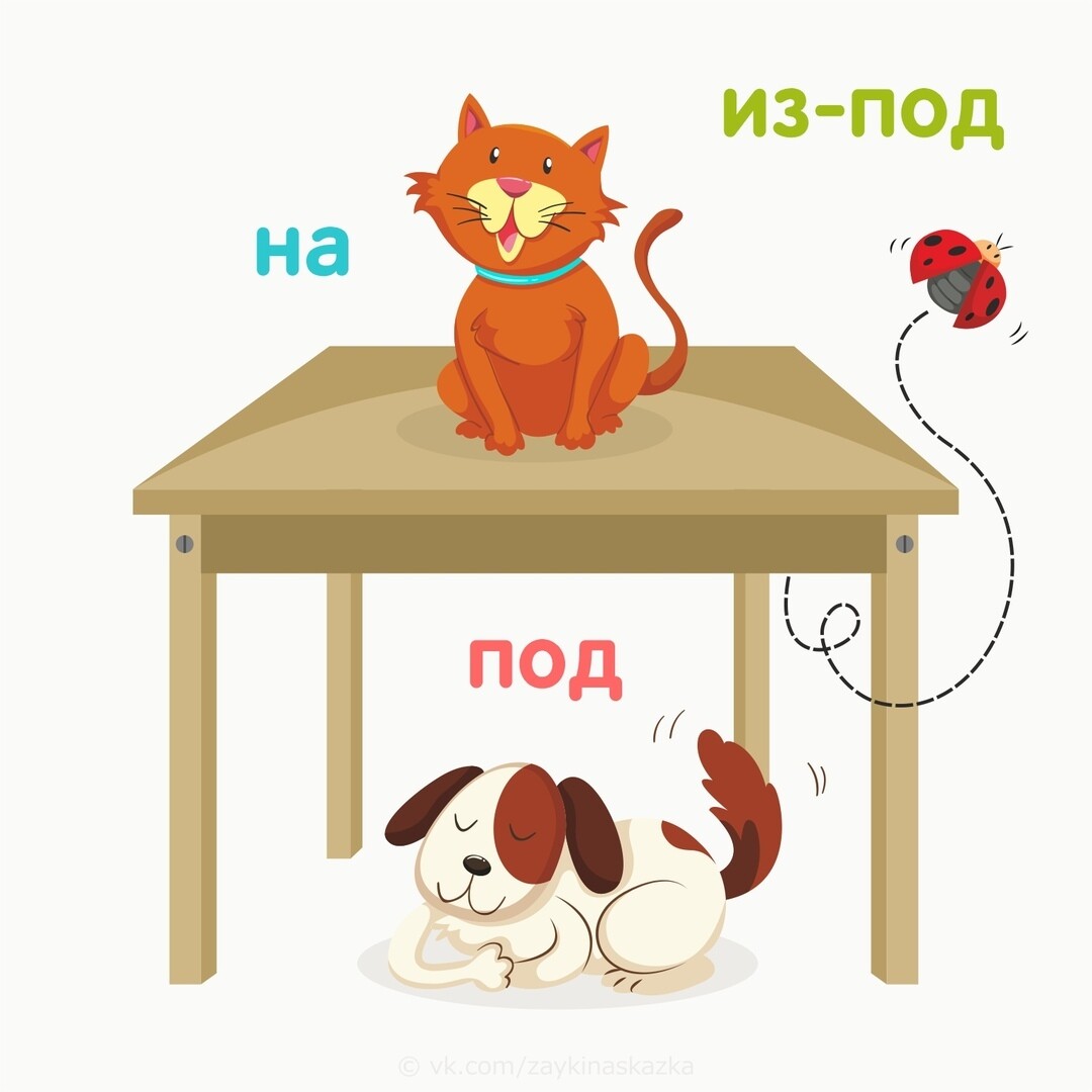 Предлоги на картинке