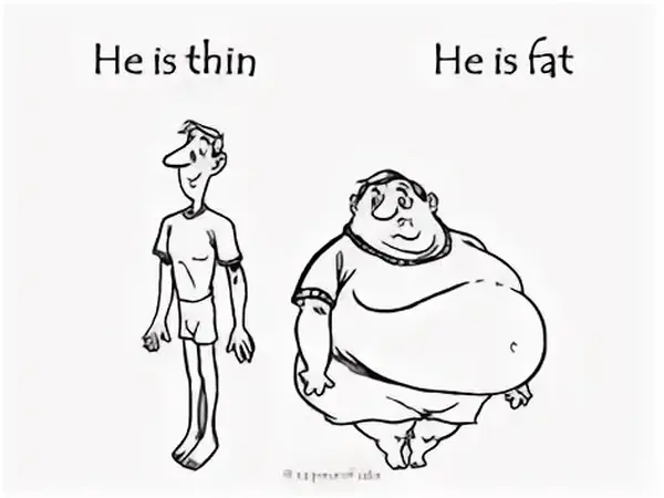 thin & fat