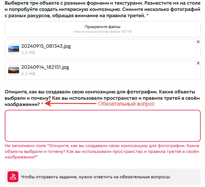 
		<p>Без заполнения обязательного поля отправить </p><p>ответ не получится</p>	