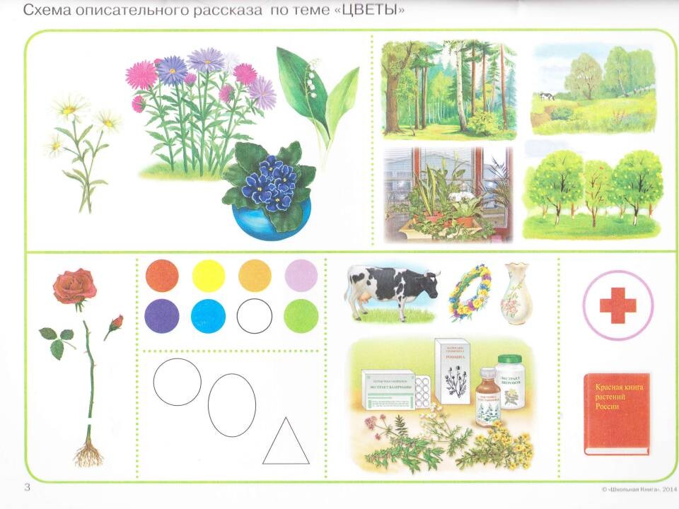План в старшей группе на тему цветы