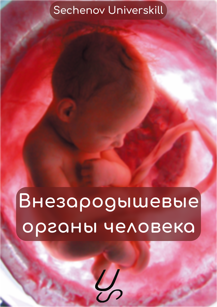 Sechenov universkill