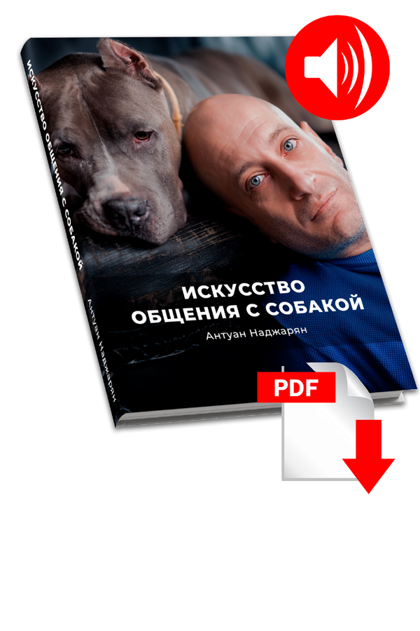 Книга: Искусство общения с собакой