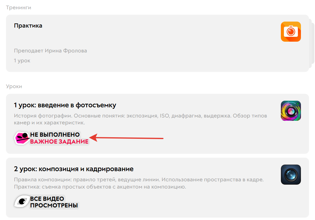 <p>Для урока отображается дополнительная метка</p>