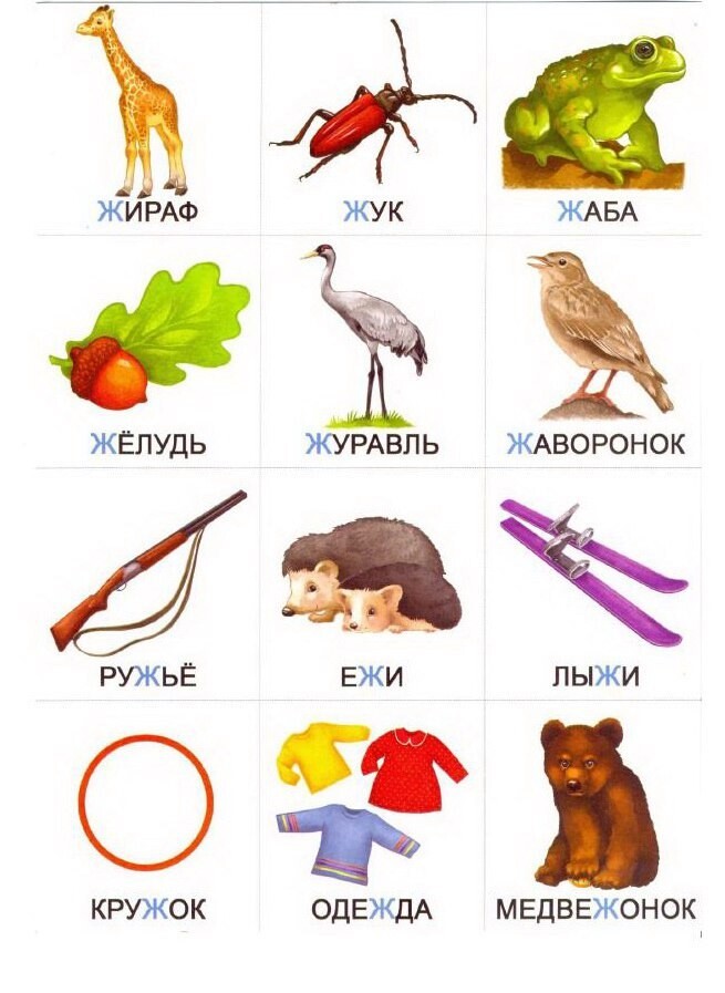 Жук жаба журавль жираф одним словом. Лягушка и жираф. «все, что нужно знать малышу от 2 до 5 лет», дмитриева в. Карточки с животными лягушка. Предметные картинки со звуком ж.