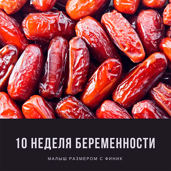 10 неделя беременности