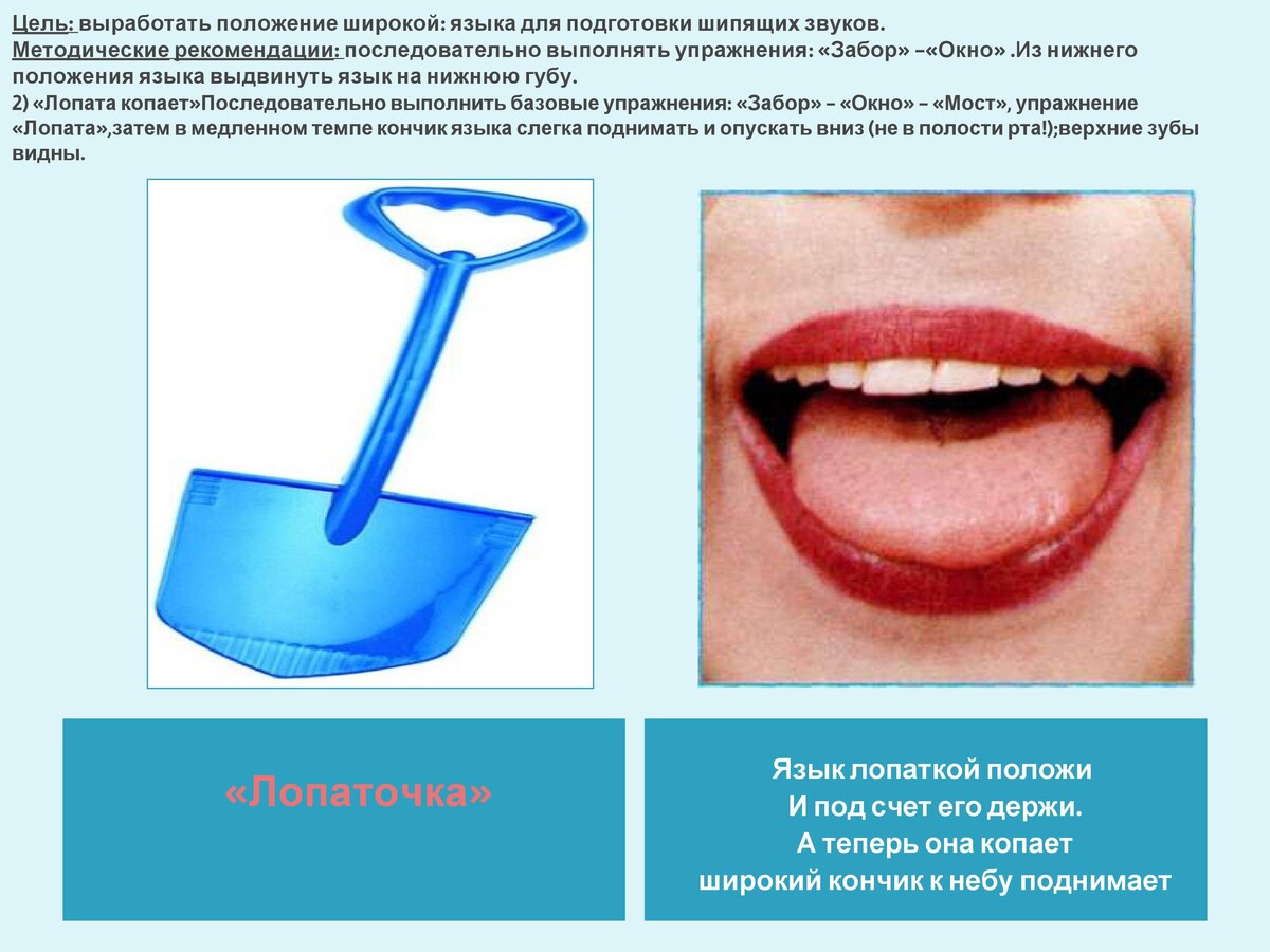 Лопатка артикуляционная гимнастика картинка