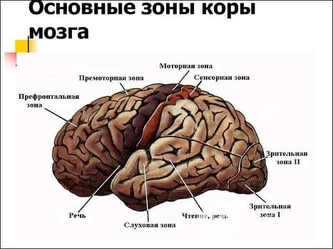 Алалия. Симптомы, диагностика и лечение.