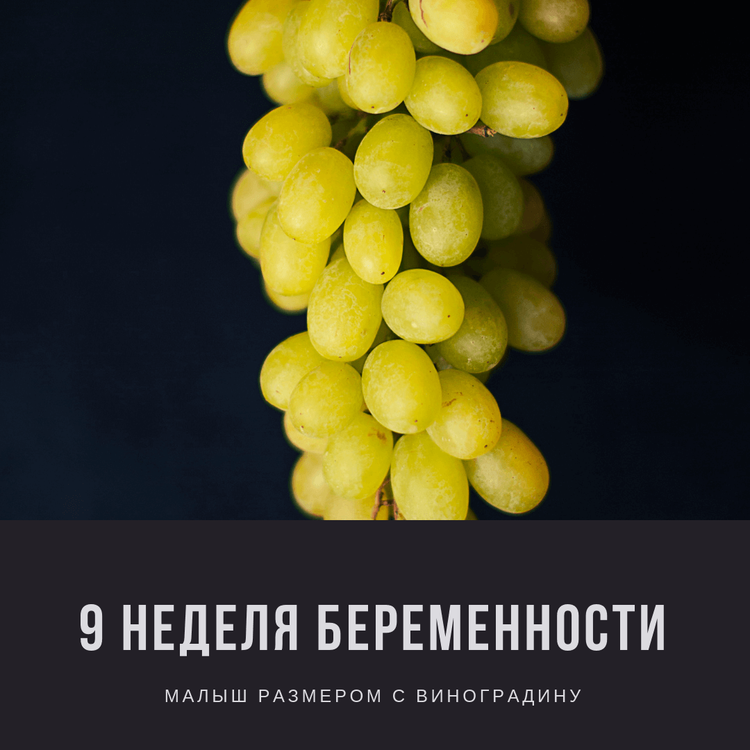 9 неделя беременности