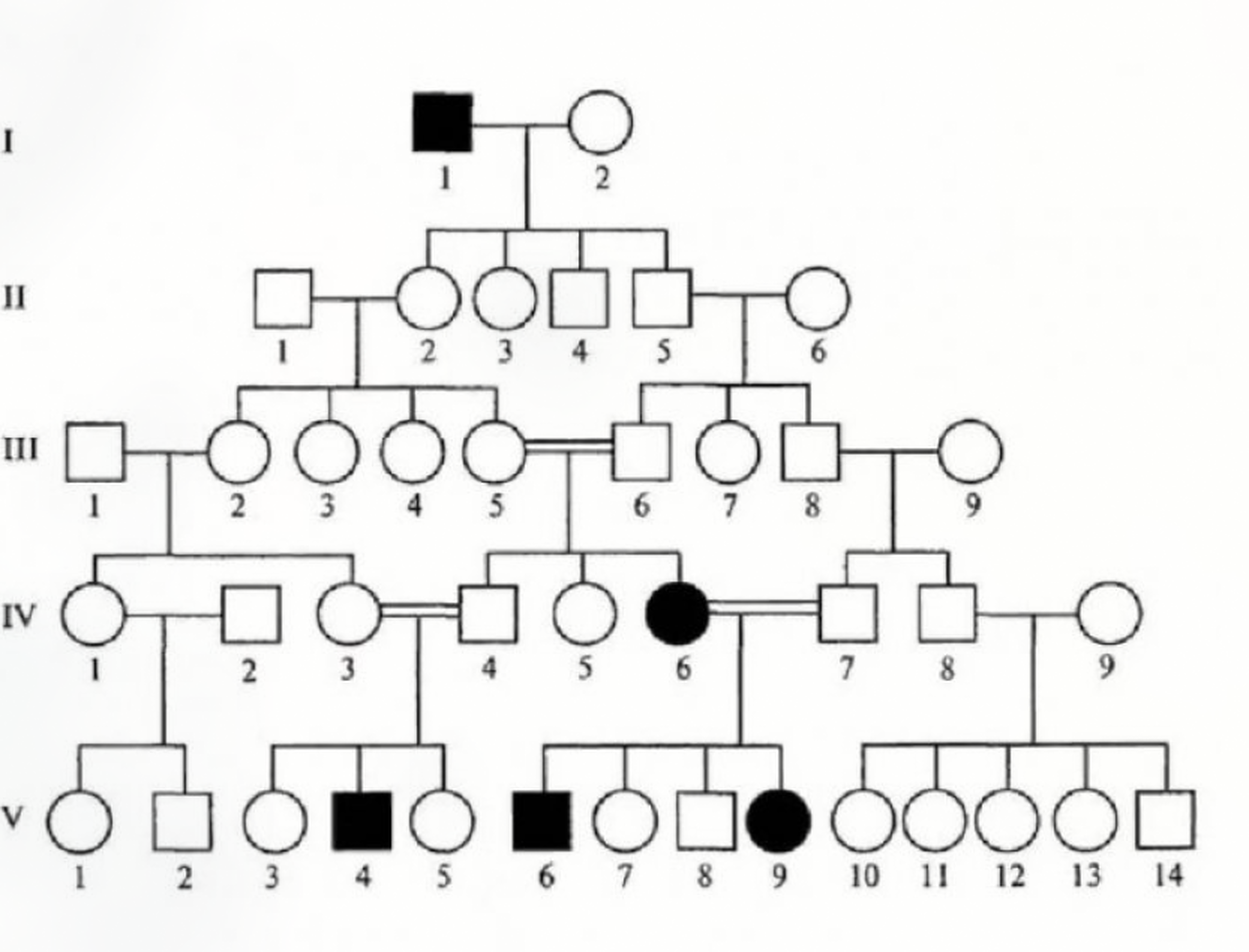 Древо семьи биология генетика
