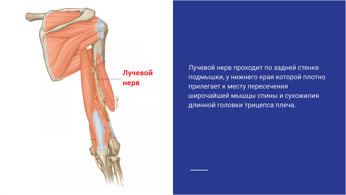 Неврит лучевого нерва лечение