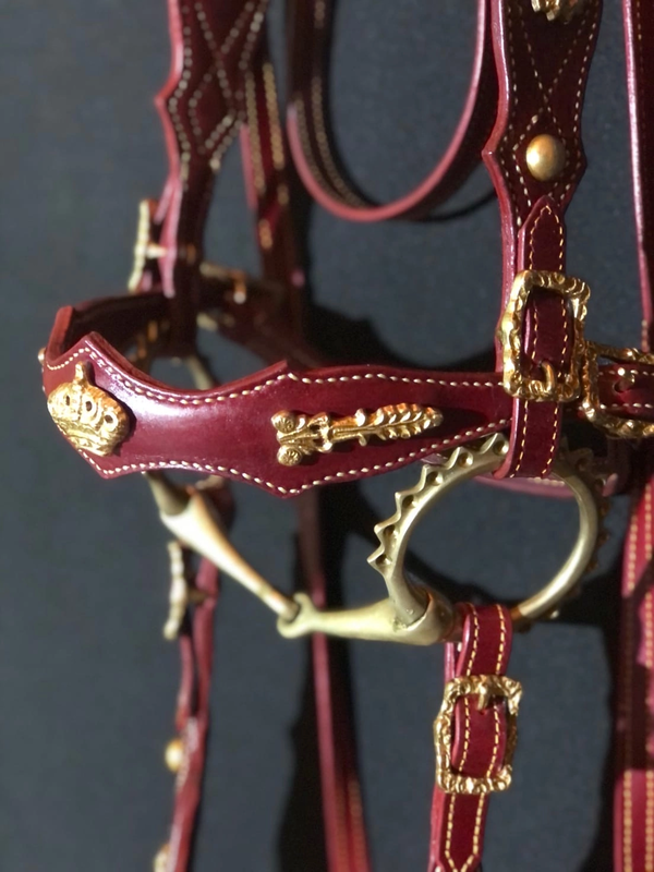 shornoedelo.getcourse.ru