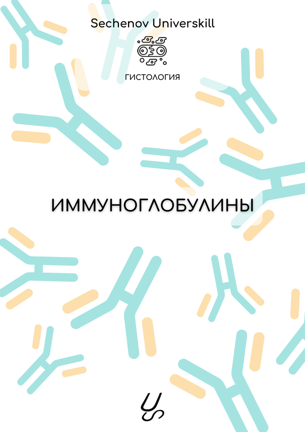 Sechenov universkill