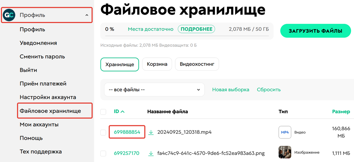ID файла в файловом хранилище