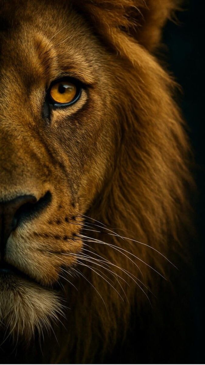 
		<p>Царский гиперреализм</p>	