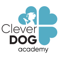Академия КлеверДог