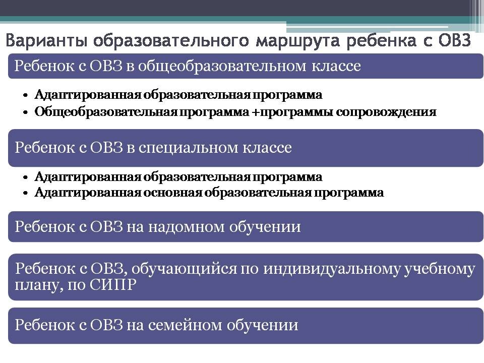 Варианты образовательного маршрута ребенка с ОВЗ.