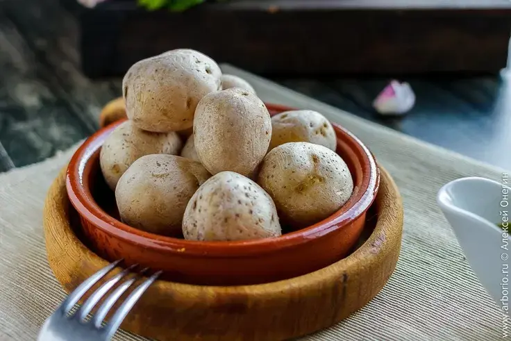 Картошка по-канарски