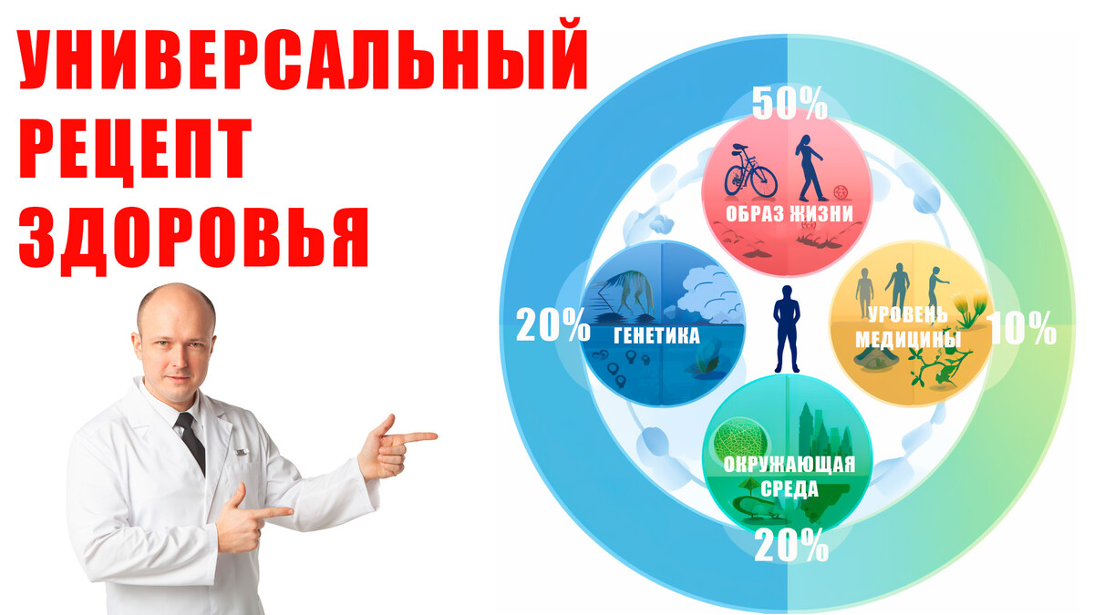 Бесплатный интенсив по Нутрициологии от Sport Nutrition Academy