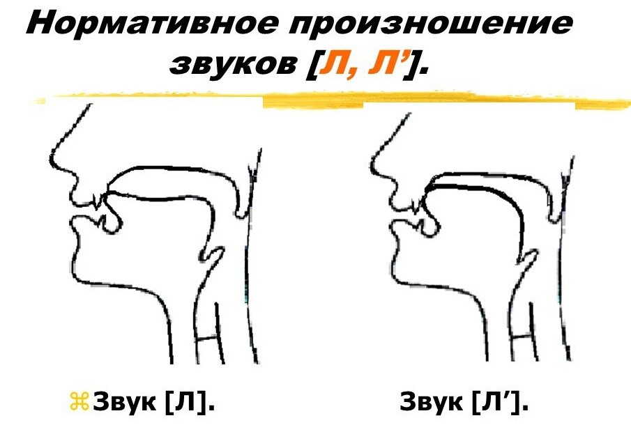 Положение языка